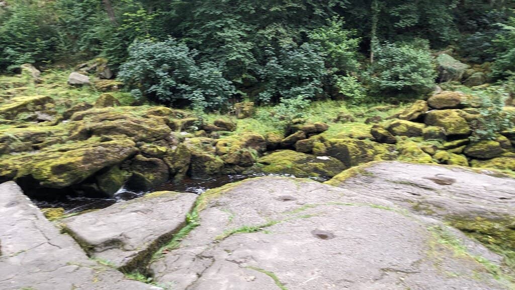 The Strid Gorge
