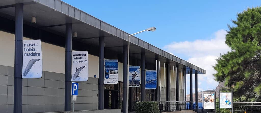 Marine Life & Conservation