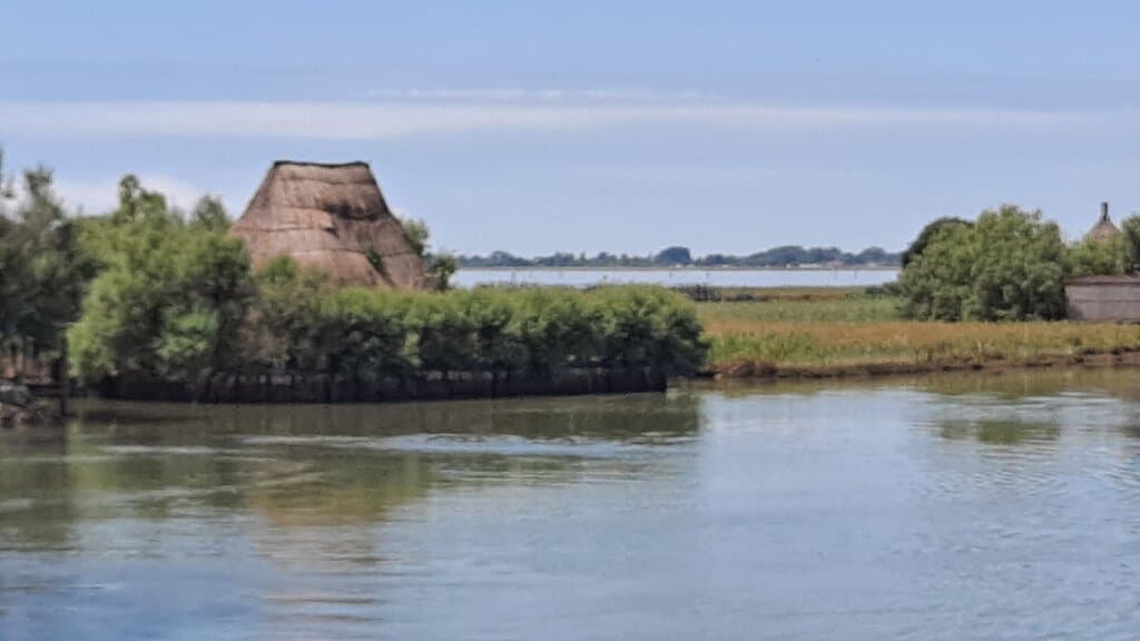Foci dello Stella Nature Reserve