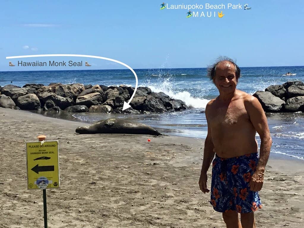 Beginner Surf Breaks