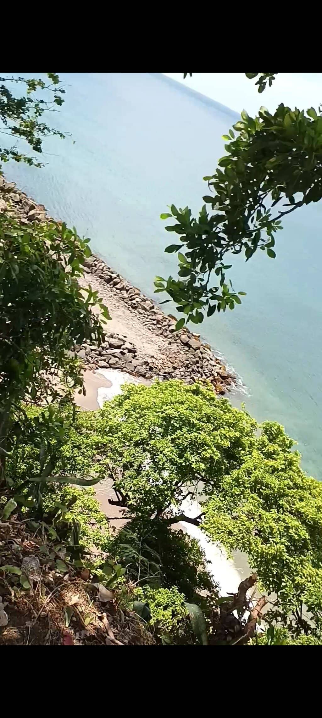 Vertical photo