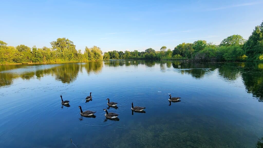 Gallup Park & Livery