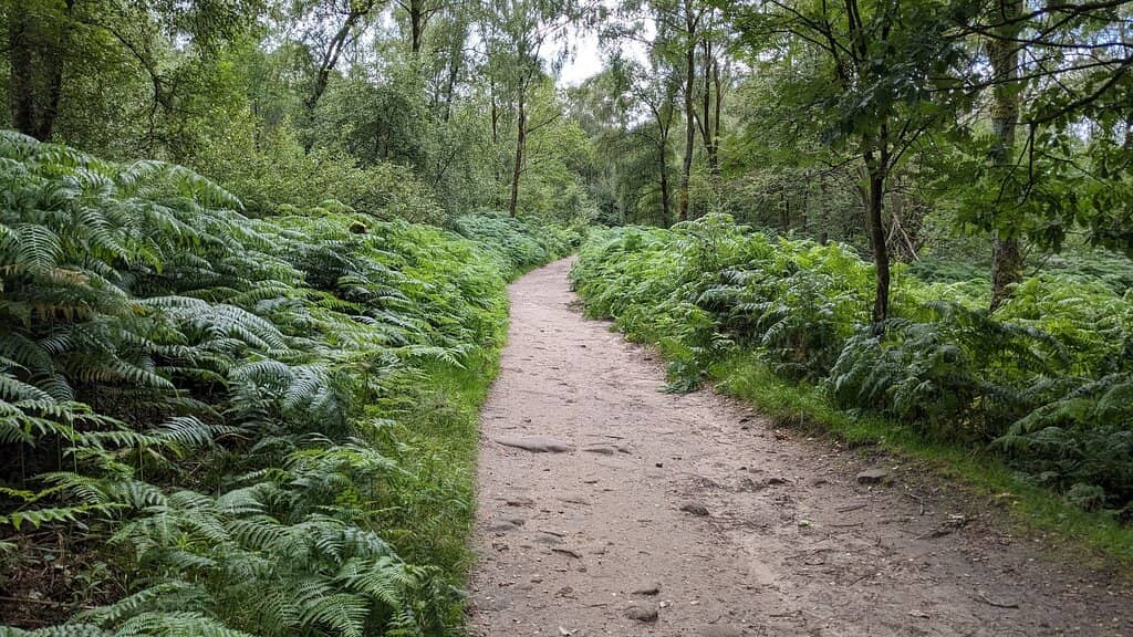 Froggatt Edge Clifftop Walk