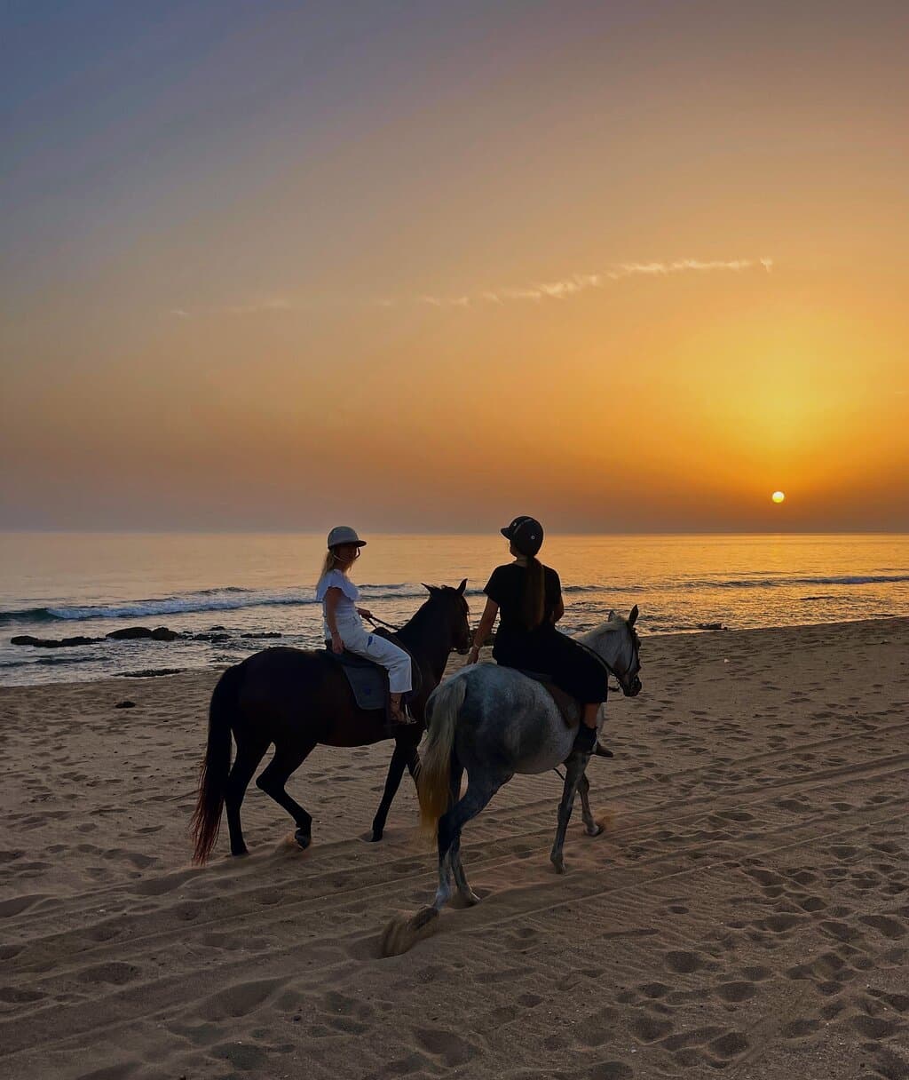 Energy Academy Europe