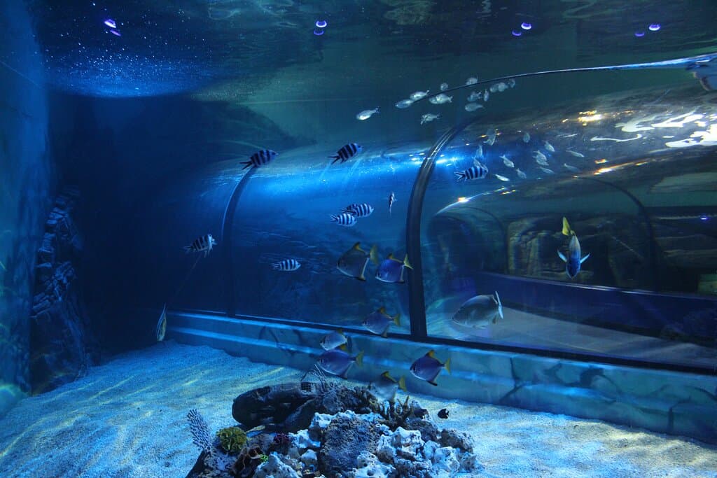 Our new Under the Sea Experience!