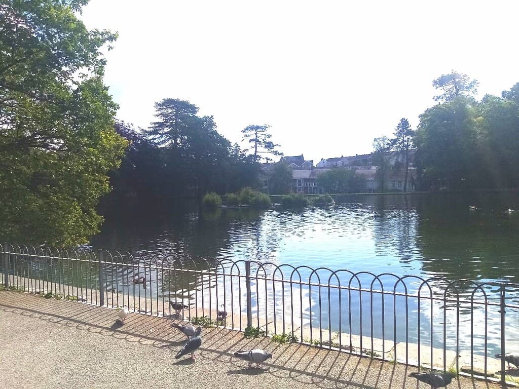 Brynmill Coffee House