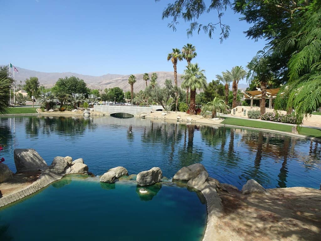 Water Features & Wildlife