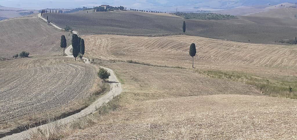 Val d'Orcia Landscape