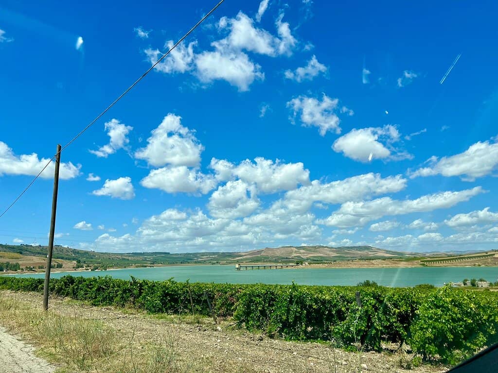 Resinata Forest & Tardara Gorges