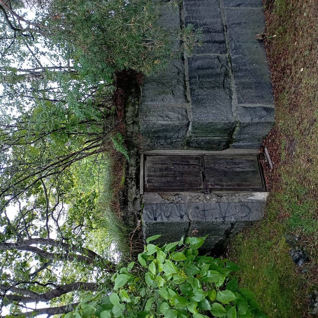 Contemporary Art Exhibitions