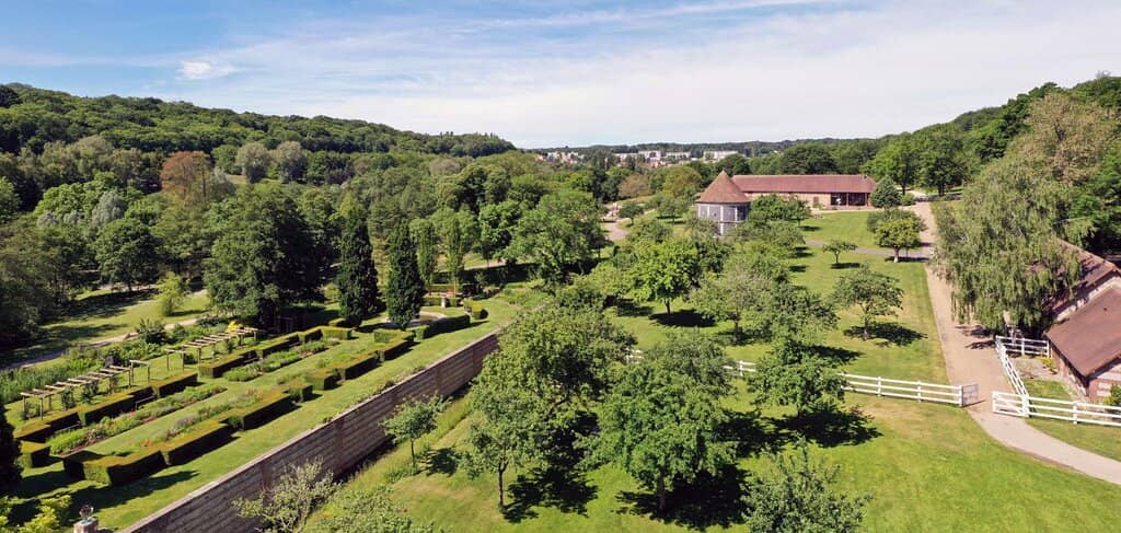 Lush Greenery and Flowers