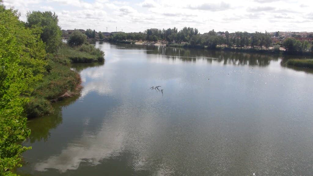 Riverfront Scenery