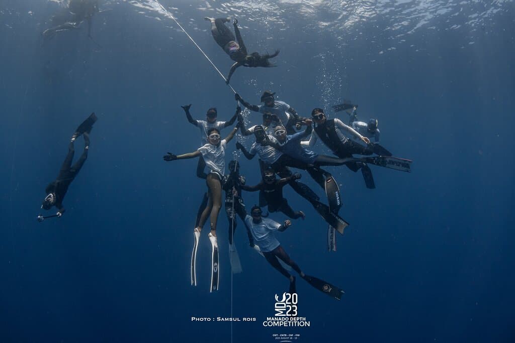 Mandolin Reef