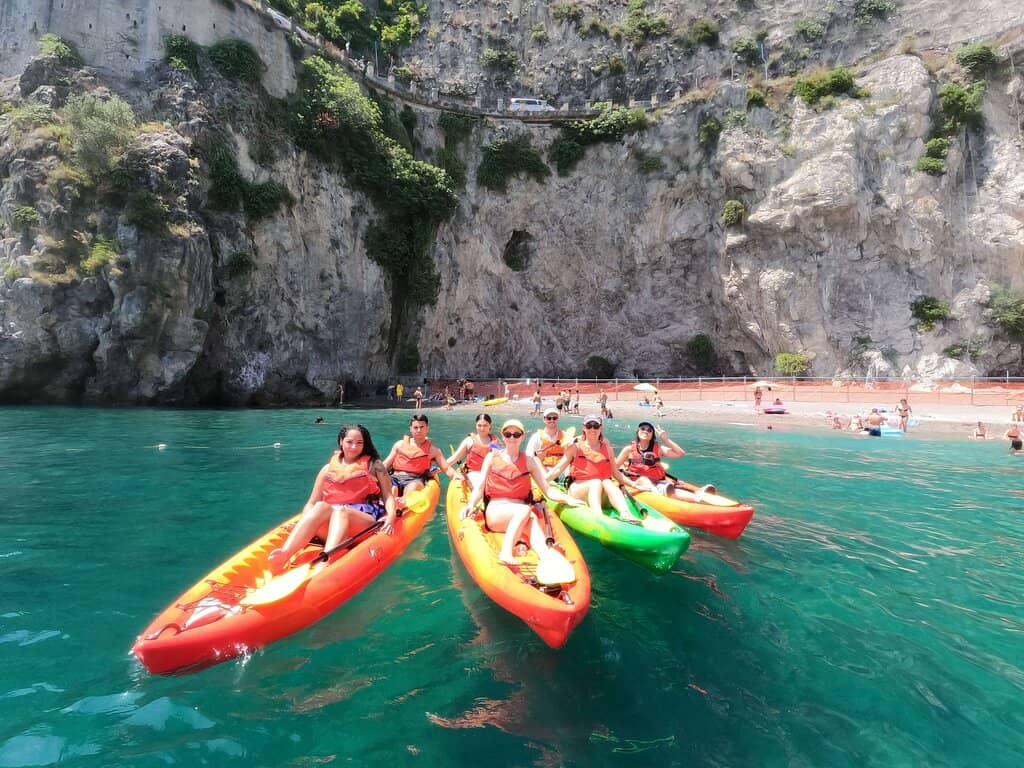 Charming Pine Forest