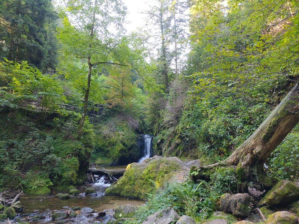Panoramaweg