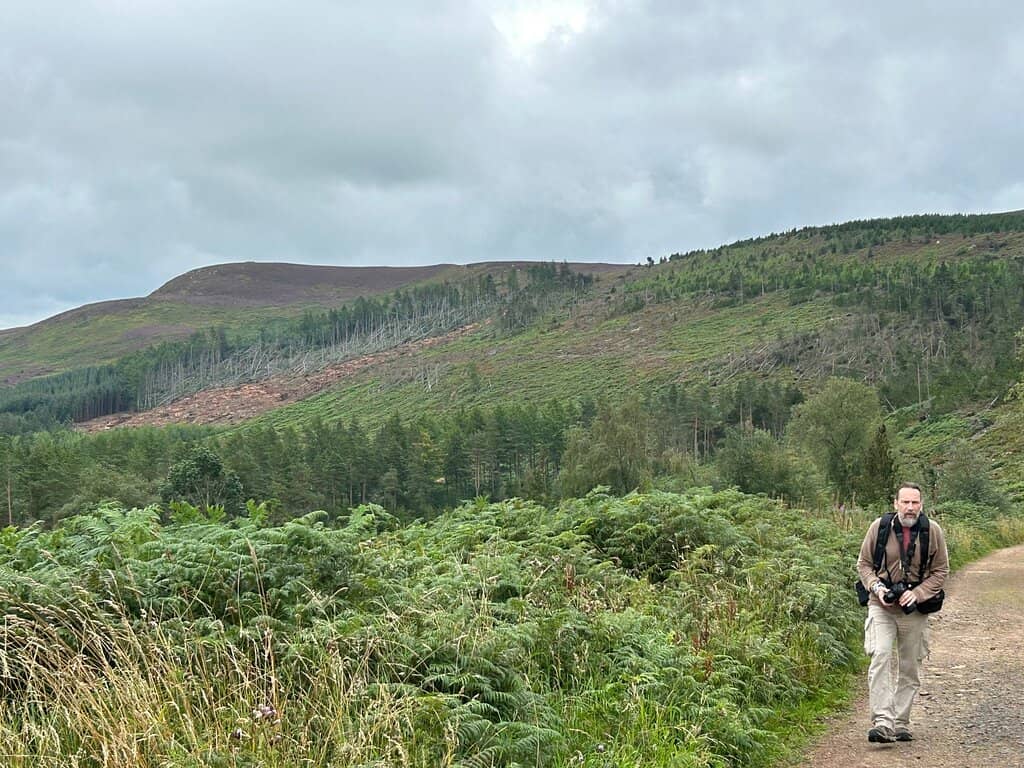 Tosson Hill