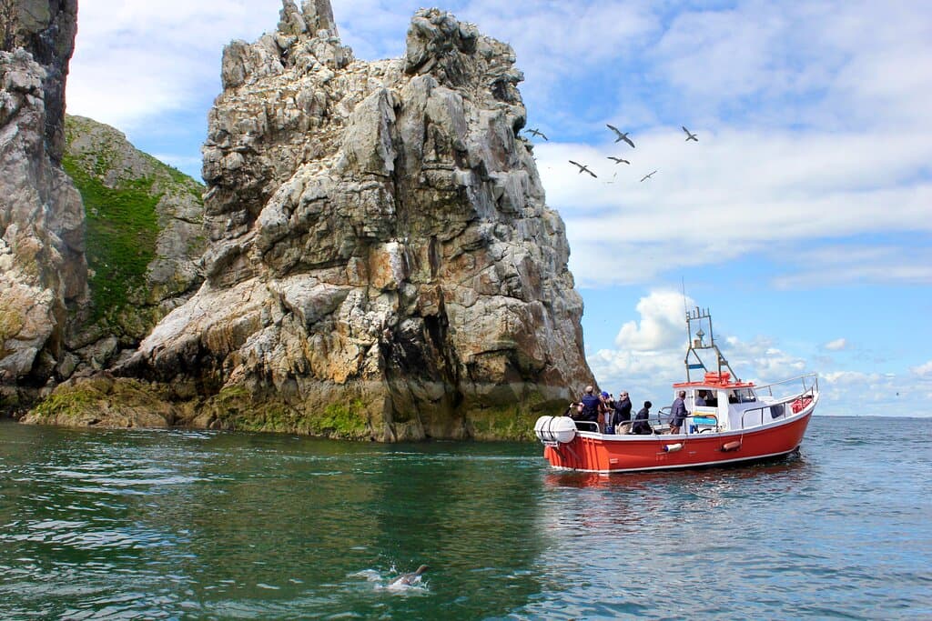 Pinalia rounding the stack at Ireland's Eye