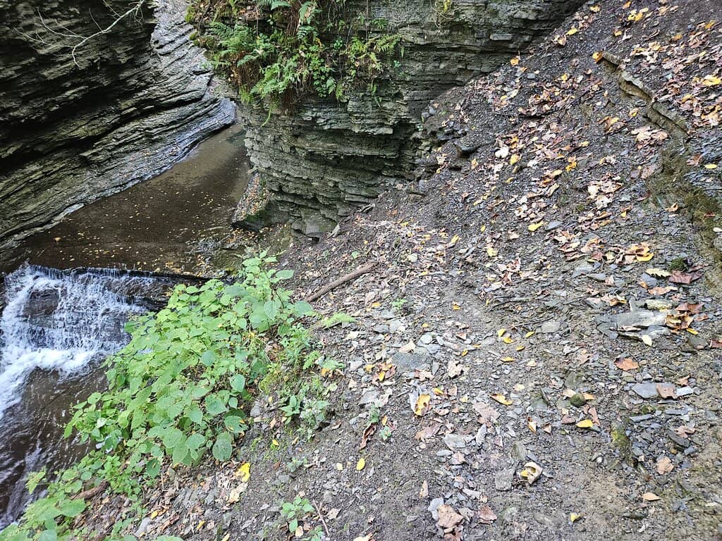 Scenic Overlooks
