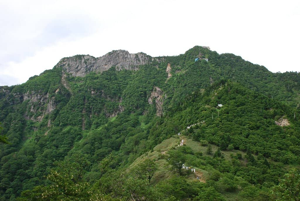 Vertical photo