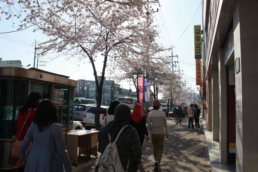 Meticulously Manicured Gardens
