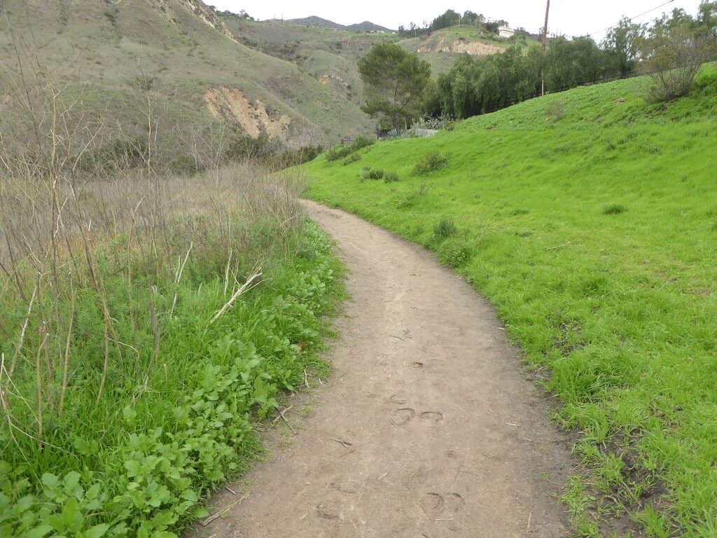 Stream Crossings