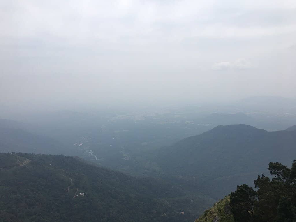 Scenic Walking Paths