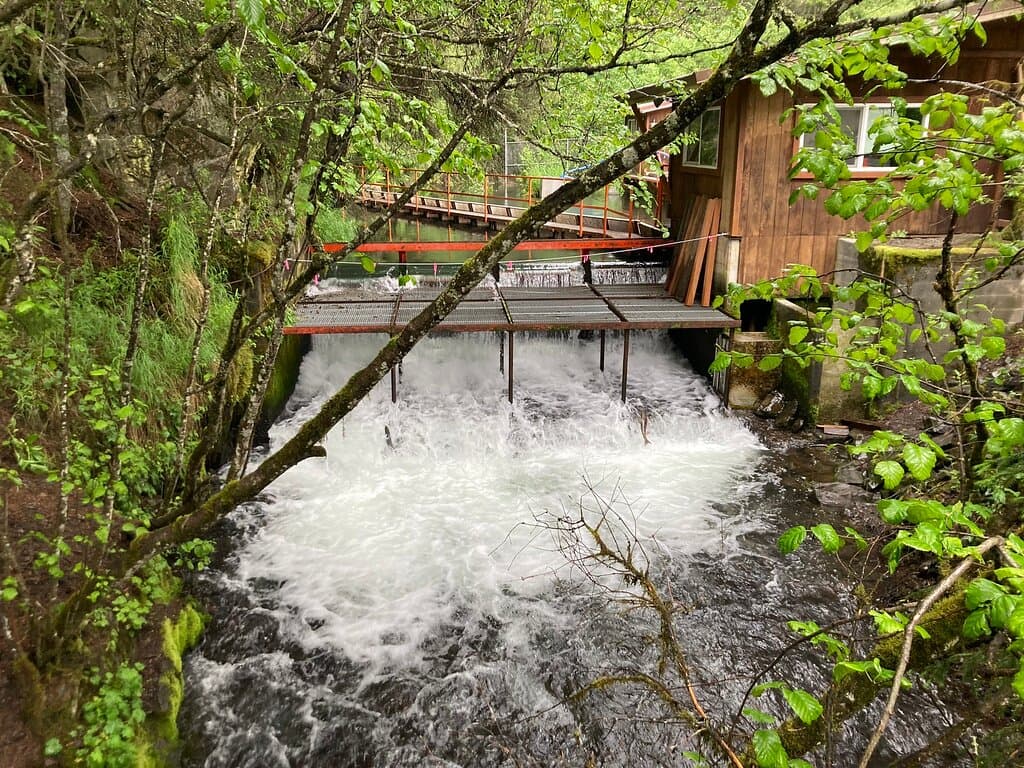 Bear Creek Weir