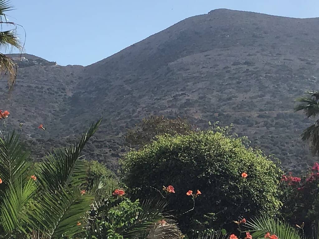 Parasailing Adventure