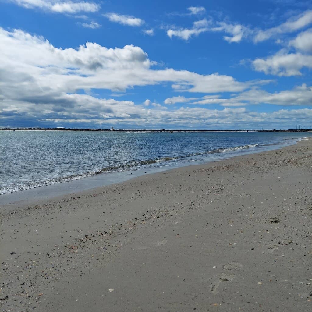 Salt Marsh Ecosystem
