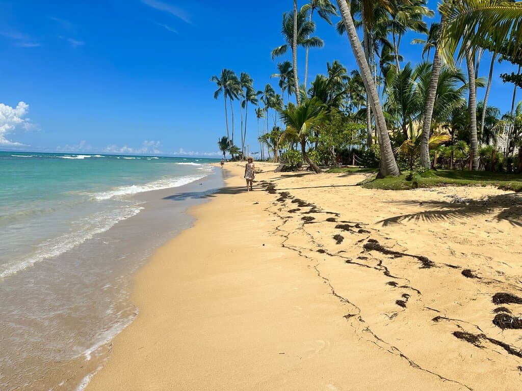 Punta Popy Las Terrenas Dominican Republic