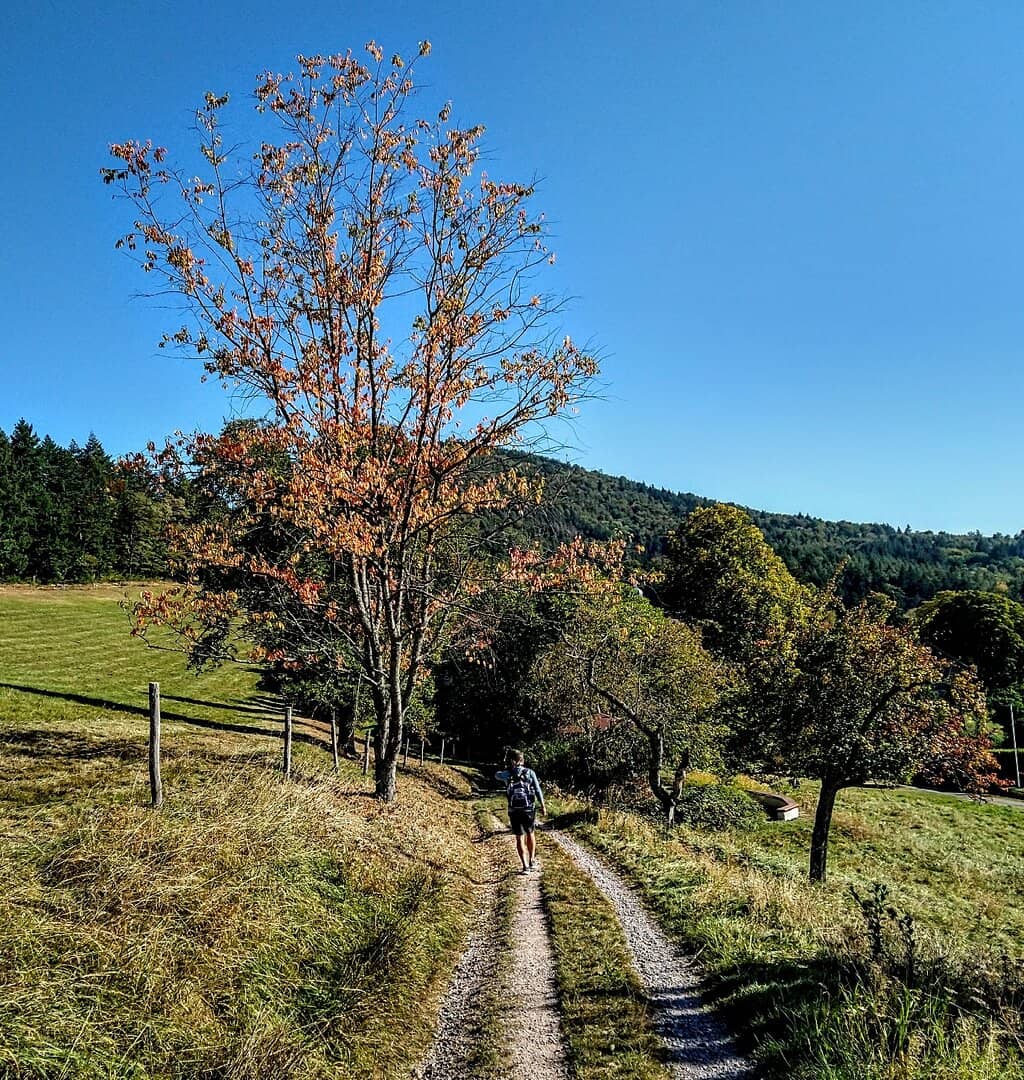 Vertical photo