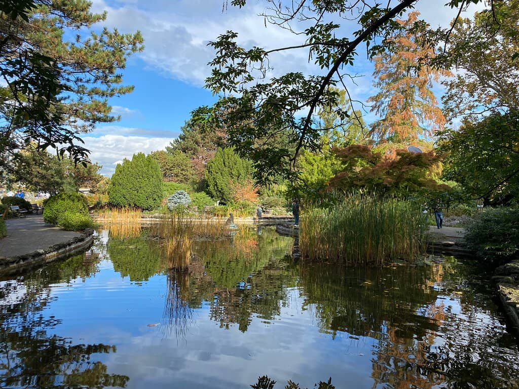 Tranquil Japanese Garden