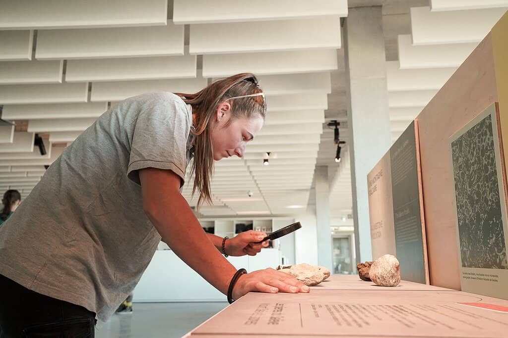 Panoramic Geneva View