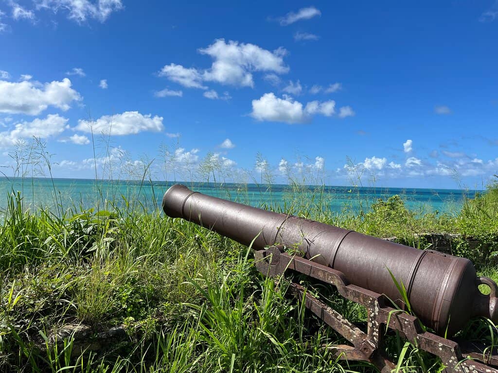 Historic Cannons