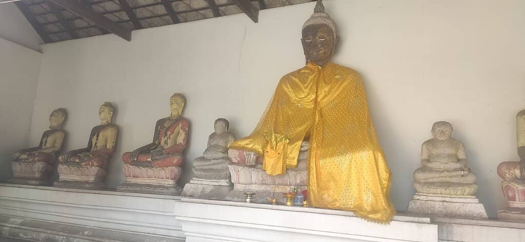 Buddha's Footprint