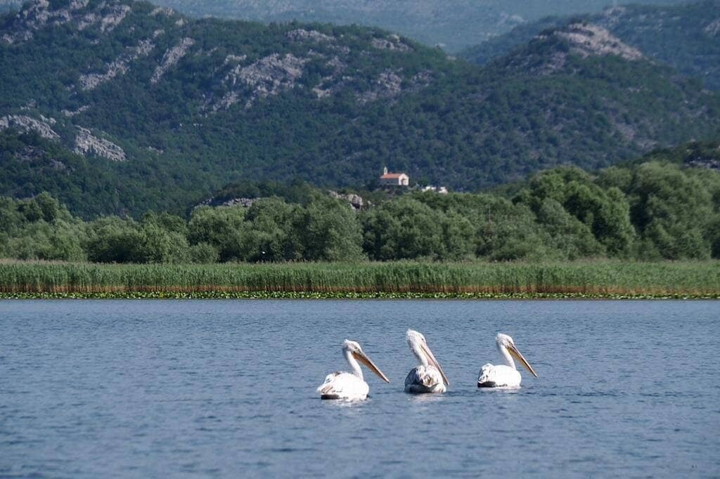 Rijeka Crnojevića Old Town