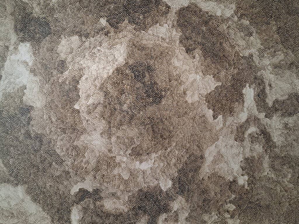 Contemporary Art Exhibitions