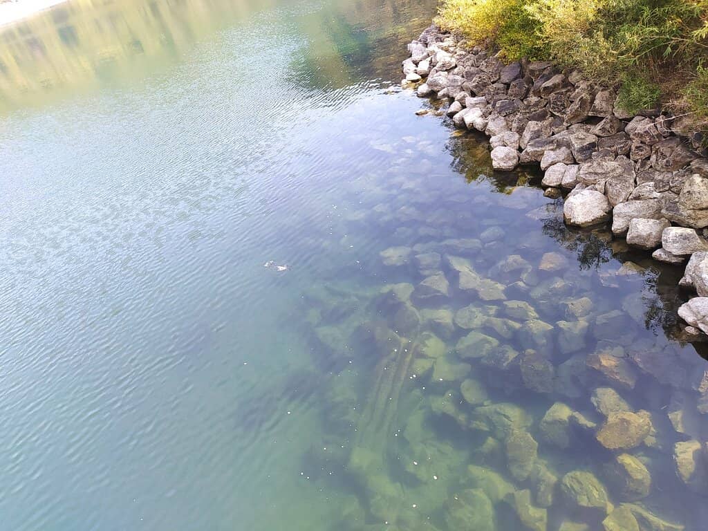 Vertical photo