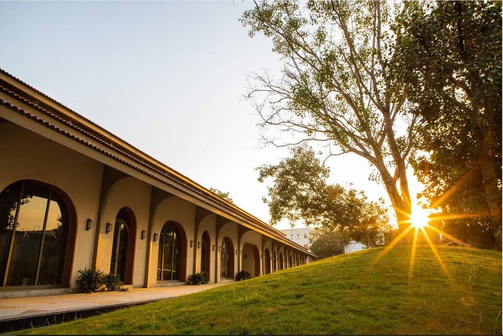 Vibrant Murals & Street Art