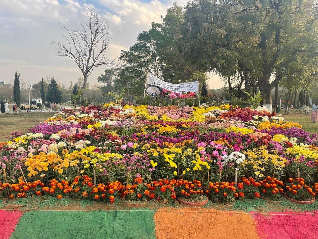 Rose and Jasmine Garden