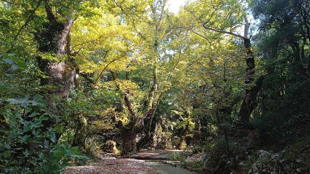The Ancient Watermills