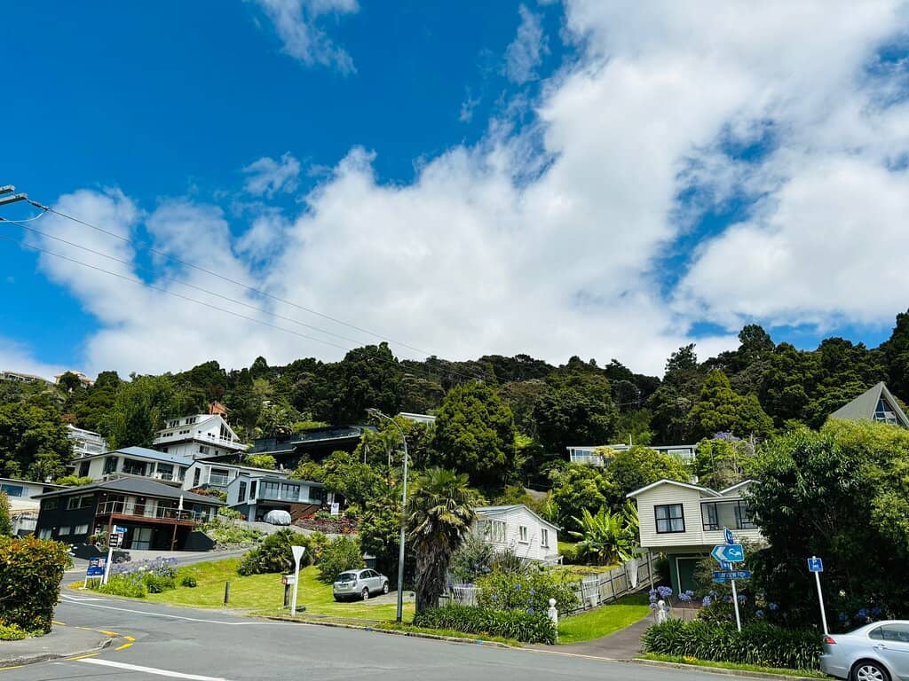 Parasailing Adventure