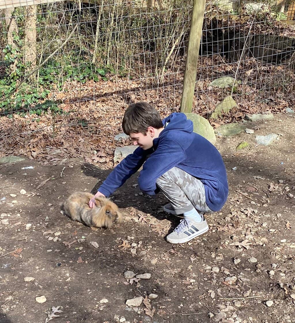 Petting Zoo Fun