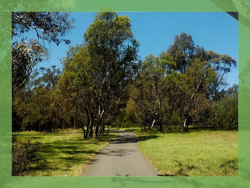 Nature Play Playground