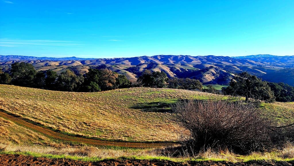 Pleasanton Ridge Regional Park/ Oaktree-Woodland Loop/ California