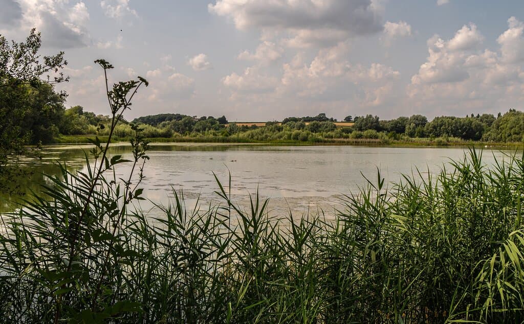 View across the lake at Linford Lakes Nature Reserve