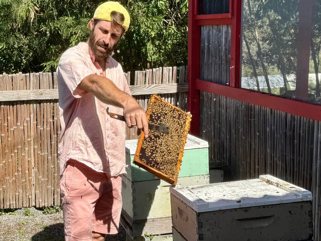 Artisanal Honey Tasting
