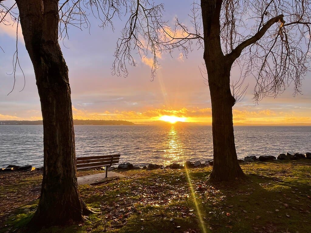 Elliott Bay Trail