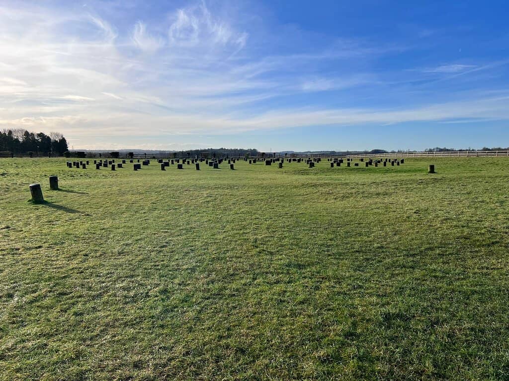 Peaceful Meadow Setting