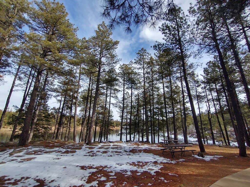 Trout Fishing Hotspot